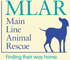 Main Line Animal Rescue